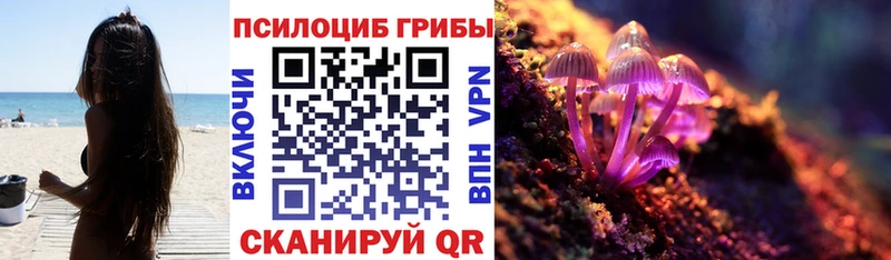 Псилоцибиновые грибы MAGIC MUSHROOMS  купить   ссылка на мегу   Абакан 