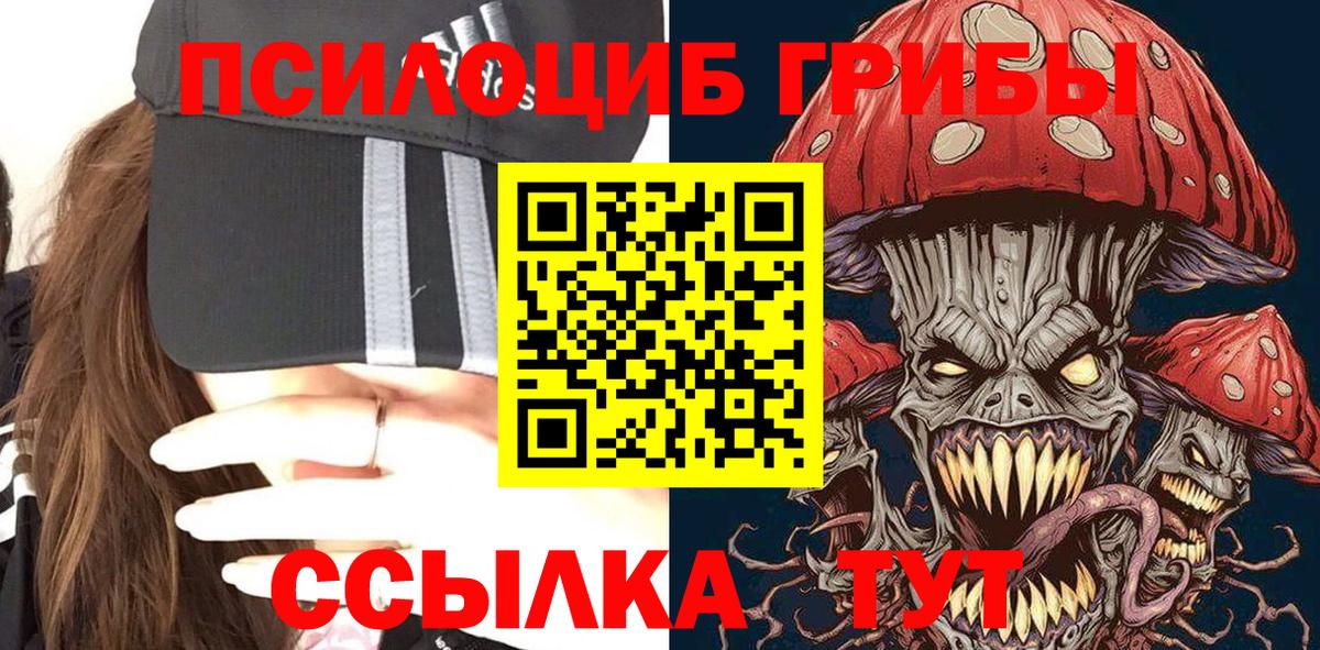 Псилоцибиновые грибы GOLDEN TEACHER  магазин    Абакан 