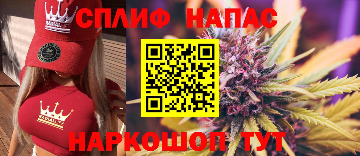 Канабис гибрид Абакан